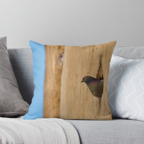 Item preview, Pigeon In The Wall designed and sold by thelemmingface.