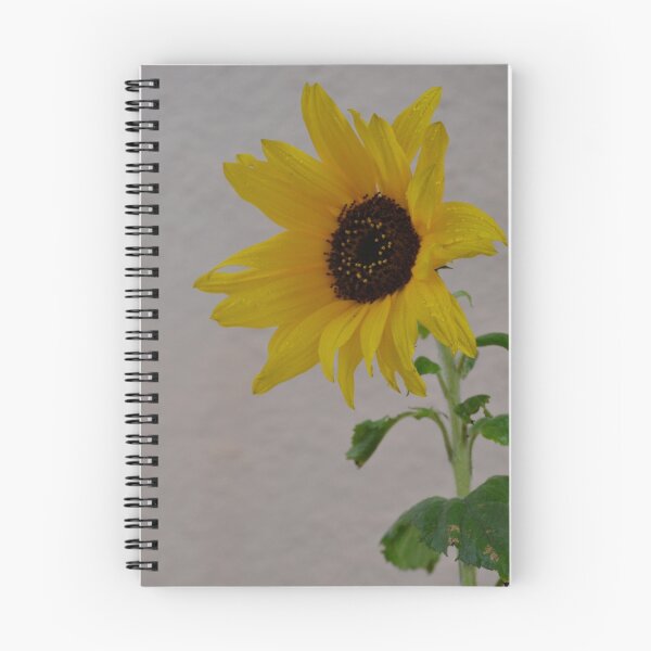 Item preview, Dew drop sunflower designed and sold by hitomimyhomie.