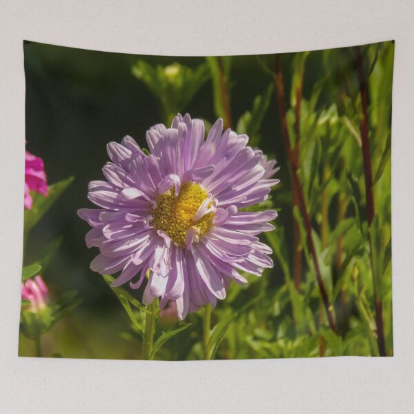 Item preview, Aster in our garden designed and sold by Guardi71.