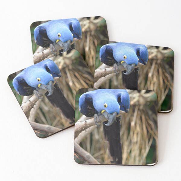 Item preview, Blue Macaw designed and sold by Richard Nix.