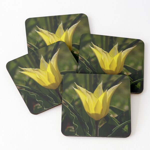 Item preview, Yellow tulip designed and sold by Guardi71.