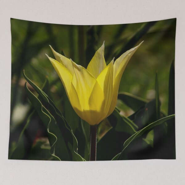 Item preview, Yellow tulip designed and sold by Guardi71.