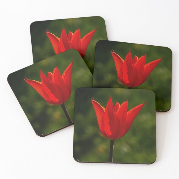 Item preview, Red tulip designed and sold by Guardi71.