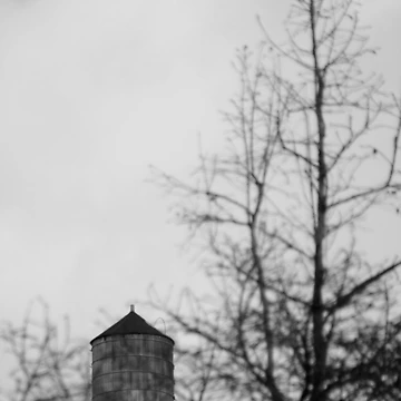 Artwork thumbnail, Untitled - WT 18 by Roddy Anderson