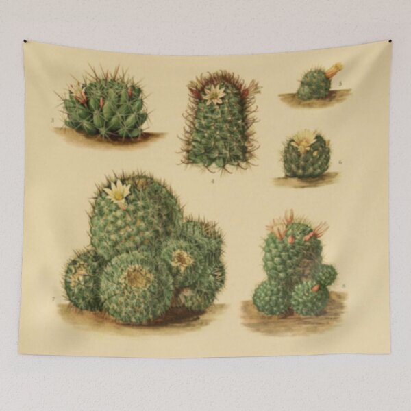 Item preview, Naturalist Cacti designed and sold by BlueSpecsStudio.