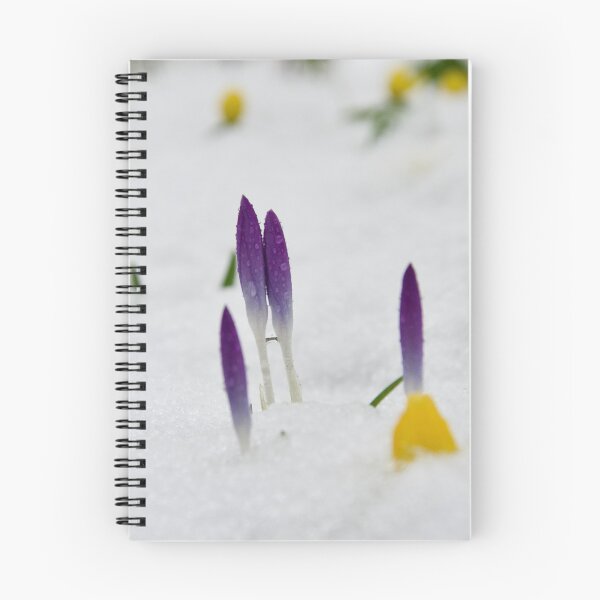 Item preview, Spring Flower Buds In Snow designed and sold by thelemmingface.