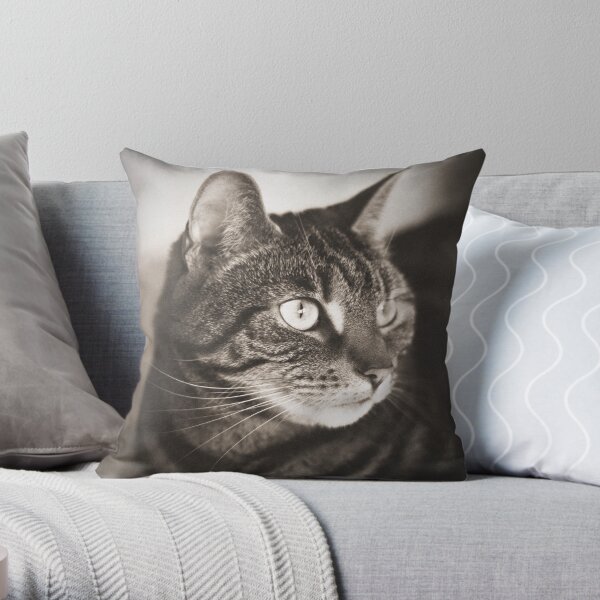 Vintage Tabby Cat Photography Throw Pillow