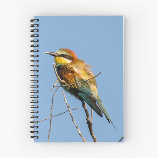 Item preview, Bee eater designed and sold by Guardi71.
