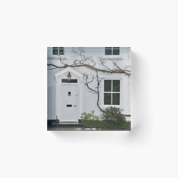 Item preview, Front Door of White House designed and sold by thelemmingface.