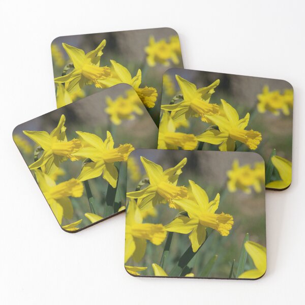 Item preview, Daffodils designed and sold by thelemmingface.