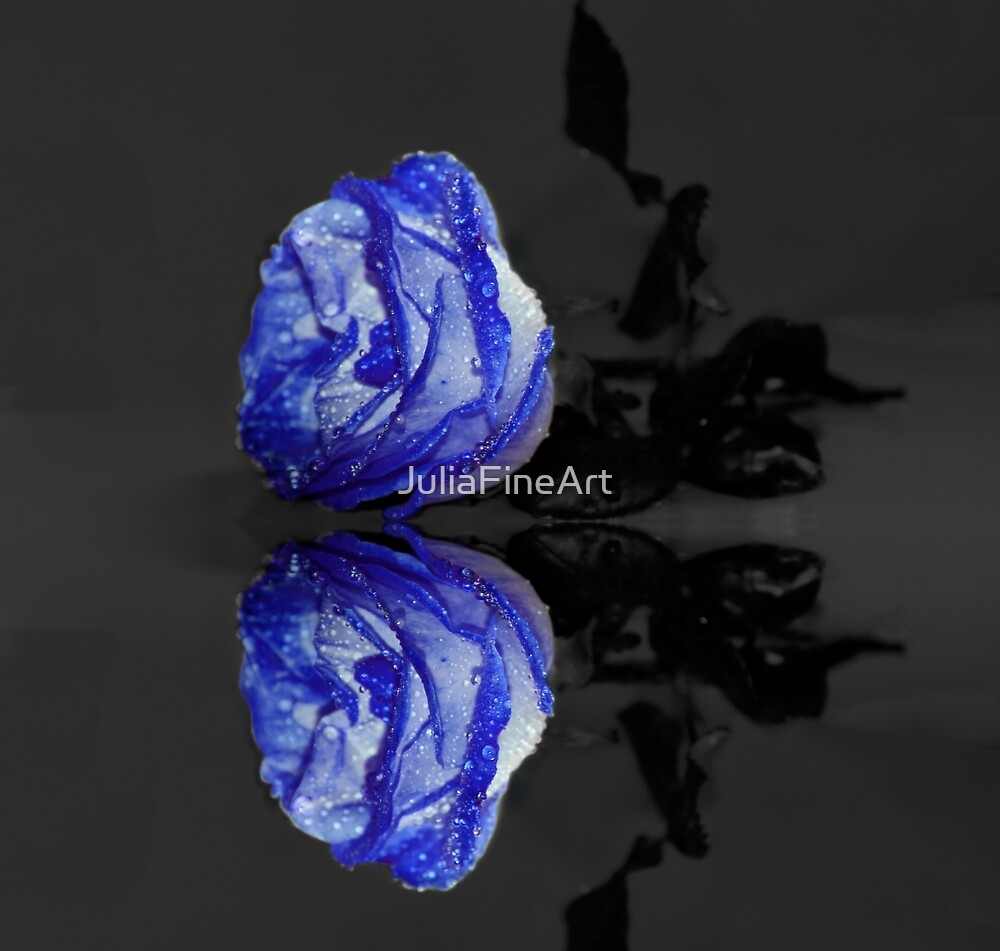 Blue Rose by JuliaFineArt
