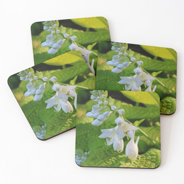 Item preview, False Securities designed and sold by Michiale.