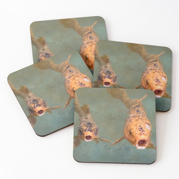 Item preview, Feed Us designed and sold by Elisabeth Lucas.