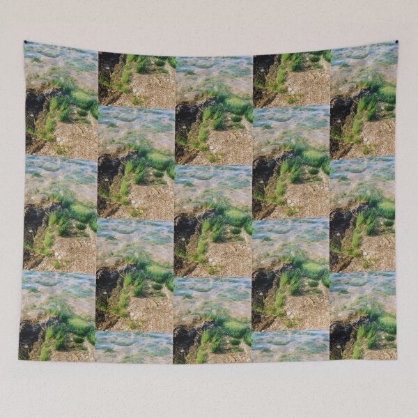 Item preview, Seaweed designed and sold by lauriecorewyn.
