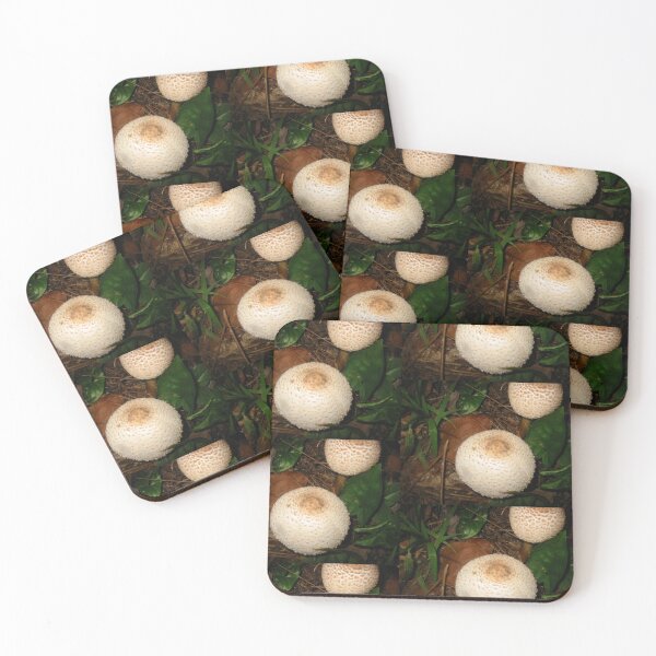 Item preview, Fungi ....In the Garden designed and sold by MardiGCalero.
