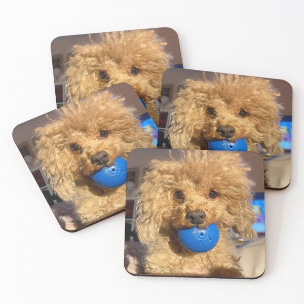 Item preview, Rafiie with his favourite blue ball designed and sold by Roz McQuillan Fine Art & Photography.