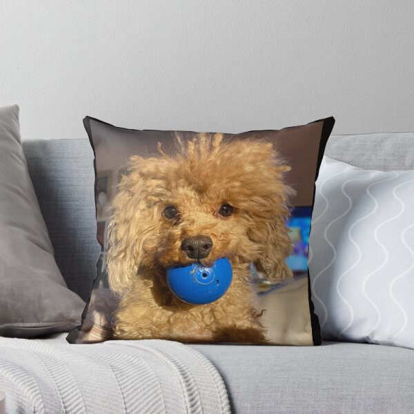 Item preview, Rafiie with his favourite blue ball designed and sold by Roz McQuillan Fine Art & Photography.