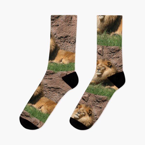 Item preview, Lion at Rest.. designed and sold by RichImage.