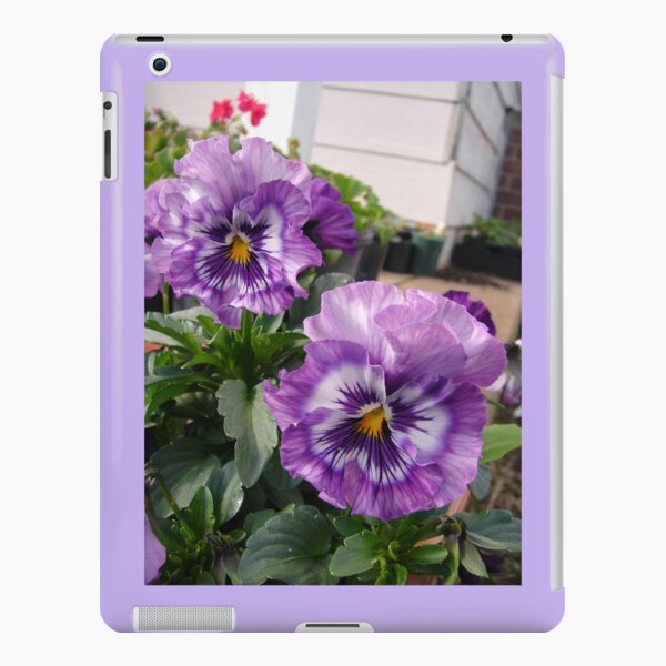 Beautiful Purple Pansies in the Garden iPad Snap Case