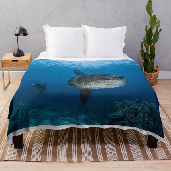 Item preview, Mola Mola Duo designed and sold by Ollieunderwater.