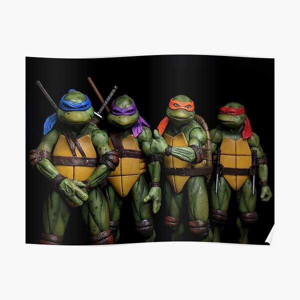 Turtle Team Poster