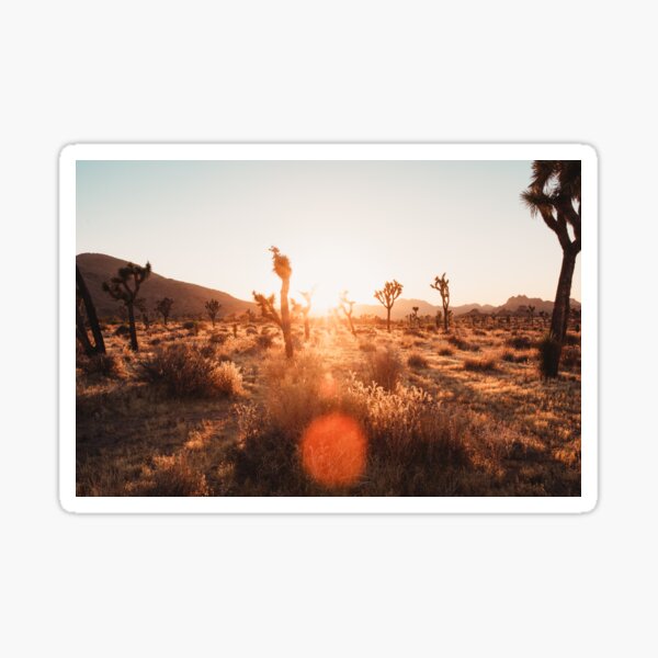 Item preview, Joshua Tree Sunset designed and sold by Bri Santoro.