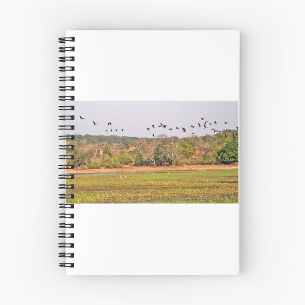 Item preview, Flight of the birds, Chobe National Park, Botswana, Africa (panorama) designed and sold by Margaret  Hyde.