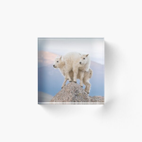 Item preview, On top of a rock designed and sold by Eivor Kuchta.