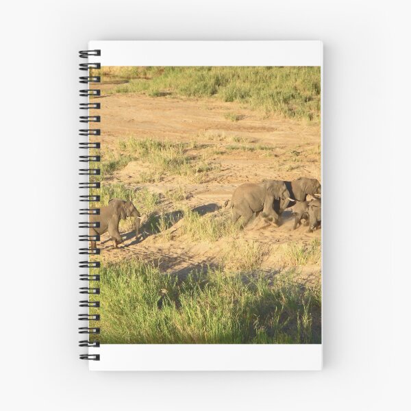 Item preview, Elephants in a hurry, Chobe National Park, Zimbabwe designed and sold by Margaret  Hyde.