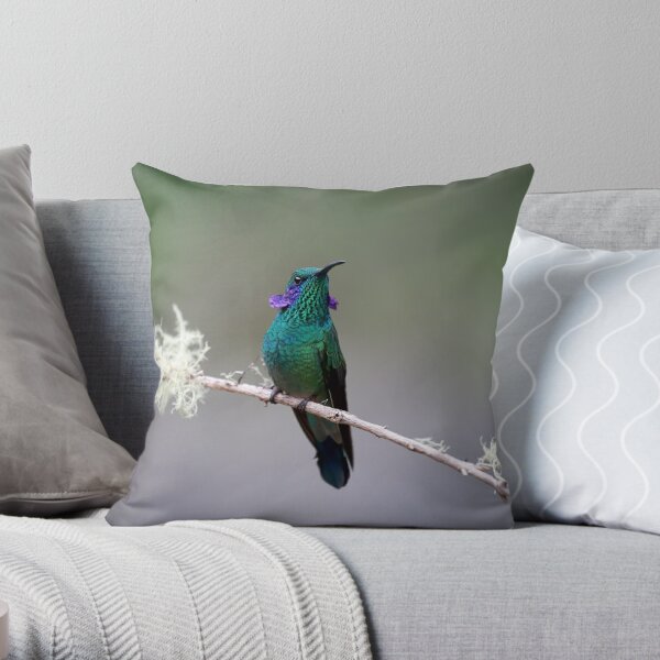 Giant Hummingbird Throw Pillow by Joan Carroll - Fine Art America