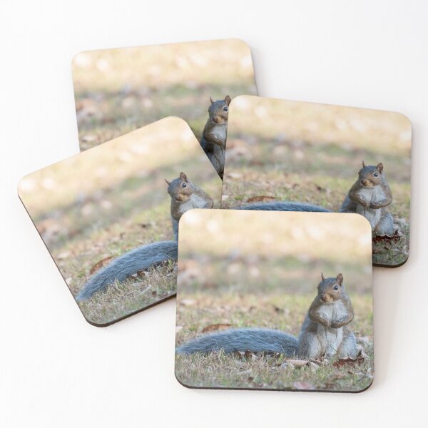Item preview, A Little Squirrelly designed and sold by suburbanwilds.