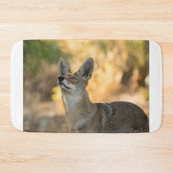 Item preview, Curiosity designed and sold by Sue  Cullumber.