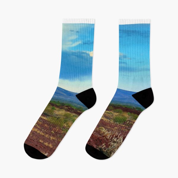 Item preview, Turquoise sky red land designed and sold by evolutionx.