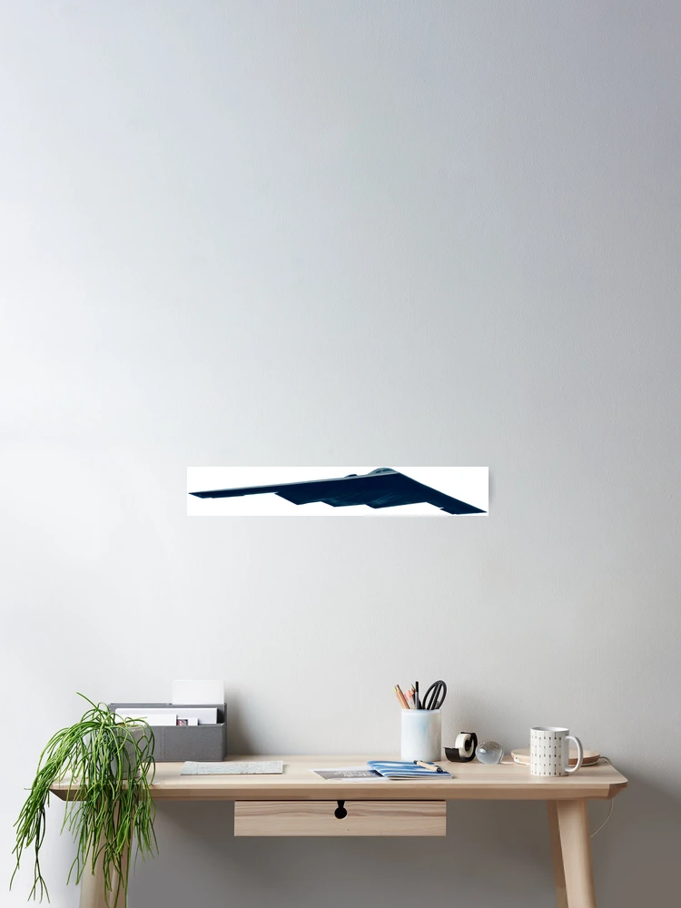 Stealth Bomber - B2 Spirit