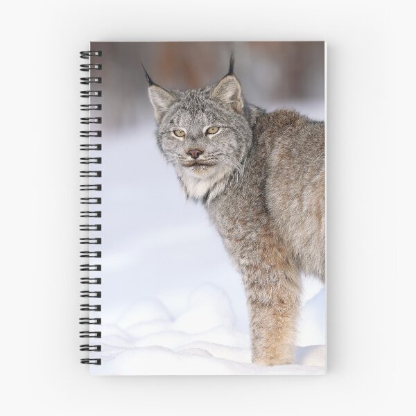 Item preview, Canada Lynx designed and sold by mlorenz.