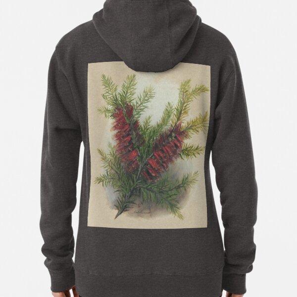 Western Australia wild flower One-sided Bottlebrush- Calothamnus State Library of Western Australia Pullover Hoodie