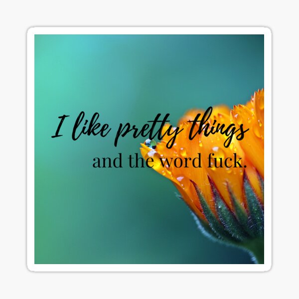 Item preview, I like pretty things and the word fuck designed and sold by BitterMercy.