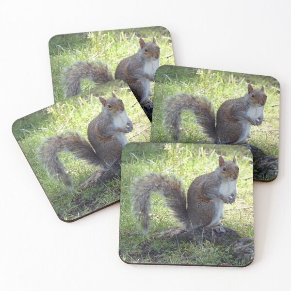 Item preview, Cutest Squirrel Ever designed and sold by Kimmary.