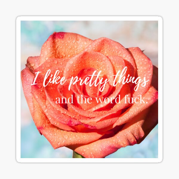 Item preview, I like pretty things and the word fuck designed and sold by BitterMercy.