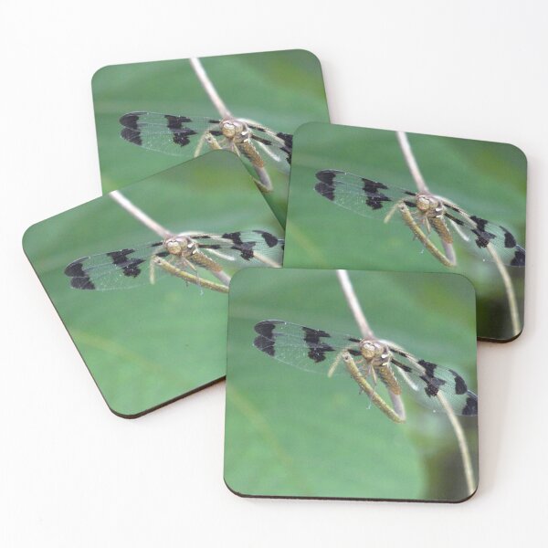 Item preview, Dragonfly in Balance designed and sold by Kimmary.