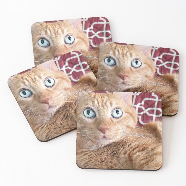 Item preview, Frankie designed and sold by Frankie Cat Photography.