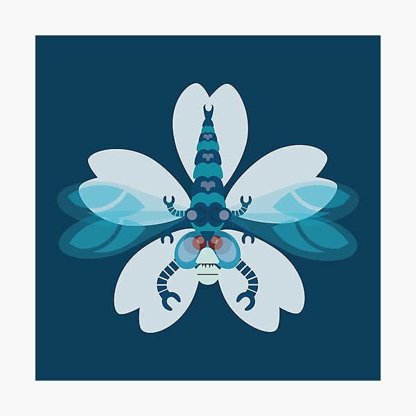 Dragonfly Photographic Print