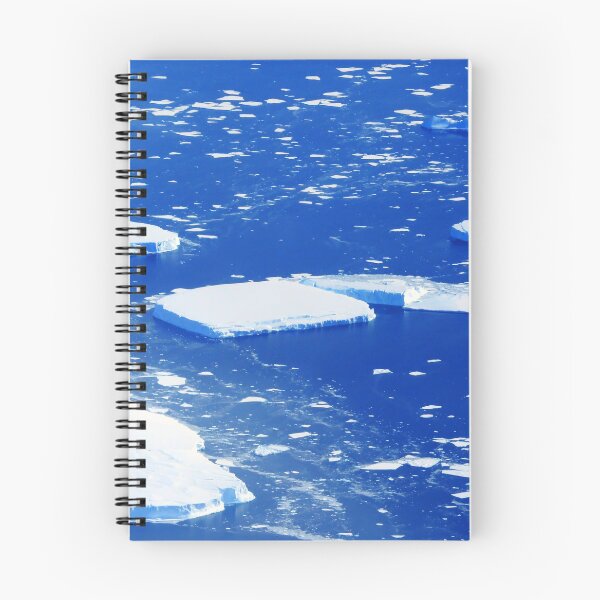 Aperçu de l'œuvre Pays des merveilles antarctiques créée et vendue par evolutionx.