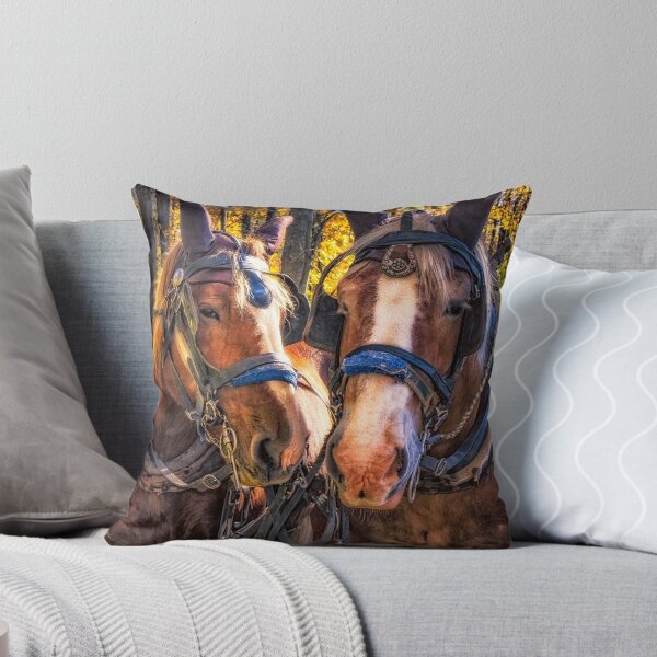 Item preview, Horse Pride 2 designed and sold by Robert Alsop.