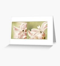 hyacinthus Greeting Card