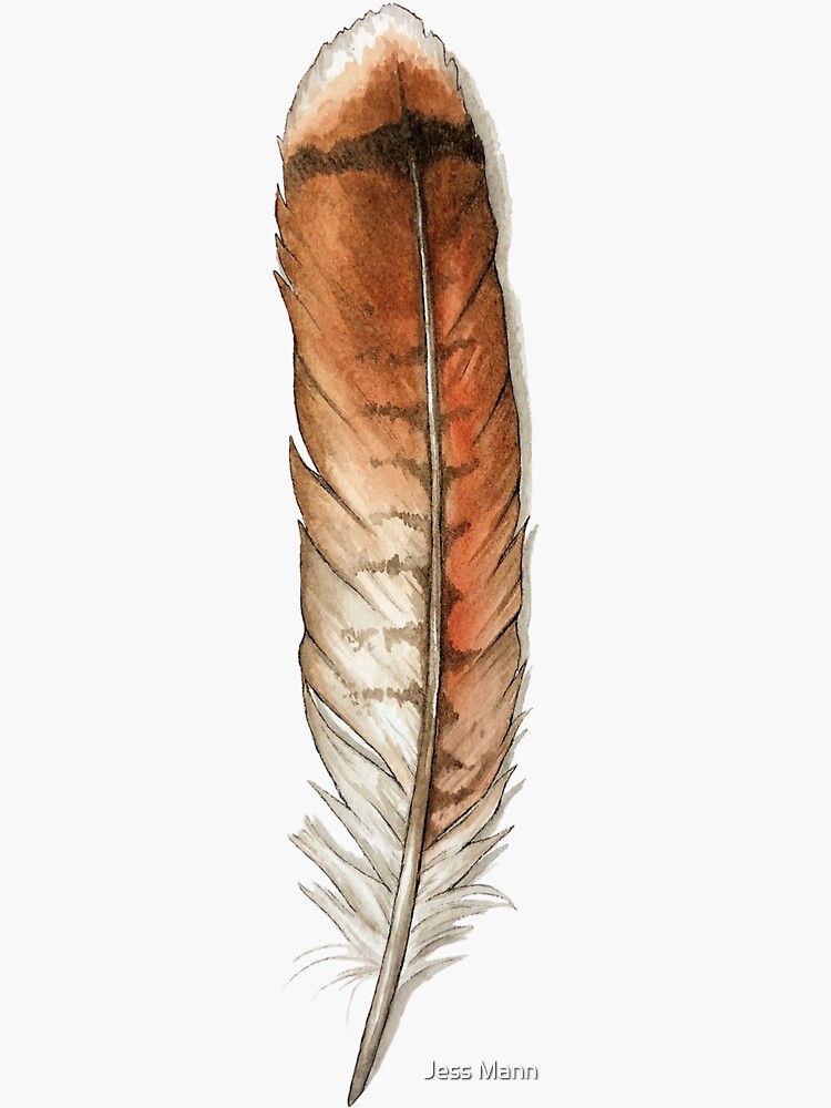 Red Tailed Hawk Feather Tattoo Stock Illustrations – 1 Red Tailed Hawk  Feather Tattoo Stock Illustrations, Vectors & Clipart - Dreamstime
