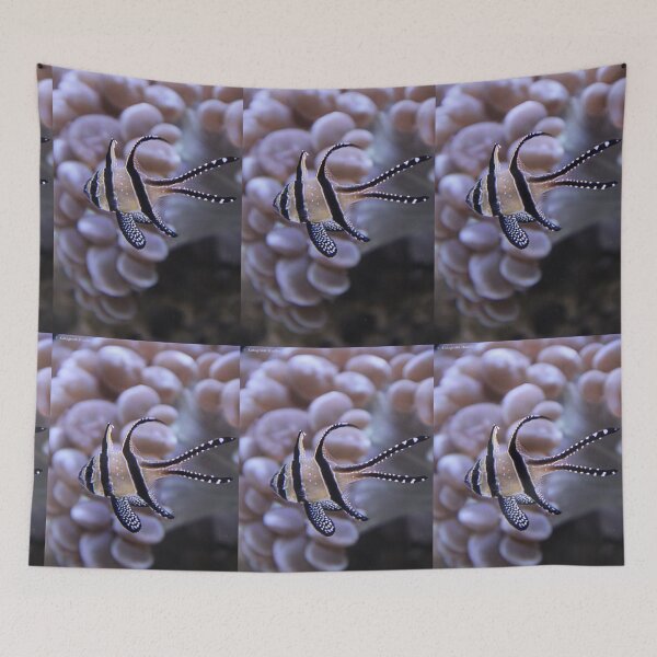 Item preview, Delicate Fish designed and sold by Katagram.