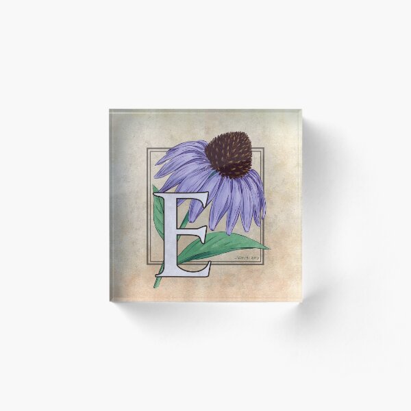 E ist für Echinacea-Blumen-Monogramm Acrylblock