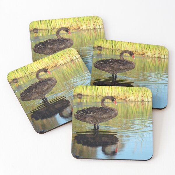 Item preview, Swan dive, but after i test the water designed and sold by evolutionx.
