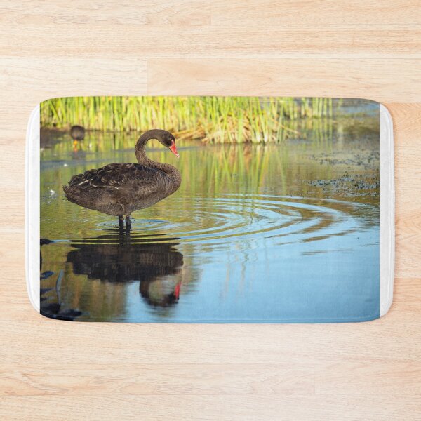 Item preview, Swan dive, but after i test the water designed and sold by evolutionx.